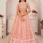 Peach embroidered lehenga